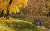 Park w Radzyniu Podlaskim, jesień 2006, fot. T. Młynarczyk