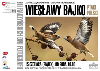 Wystawa Wiesławy Bajko Ptaki Polski